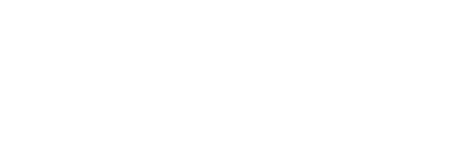 Tolero Networks Logo
